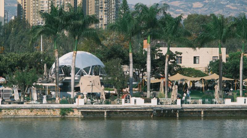 湖畔棕榈公园图片