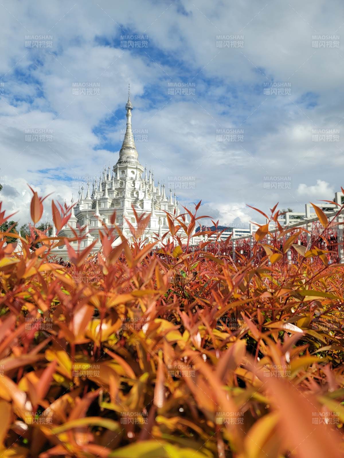 白塔映红叶图片