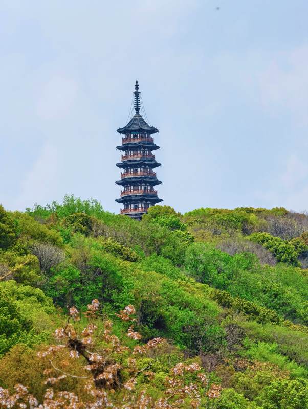 塔影绿林间图片