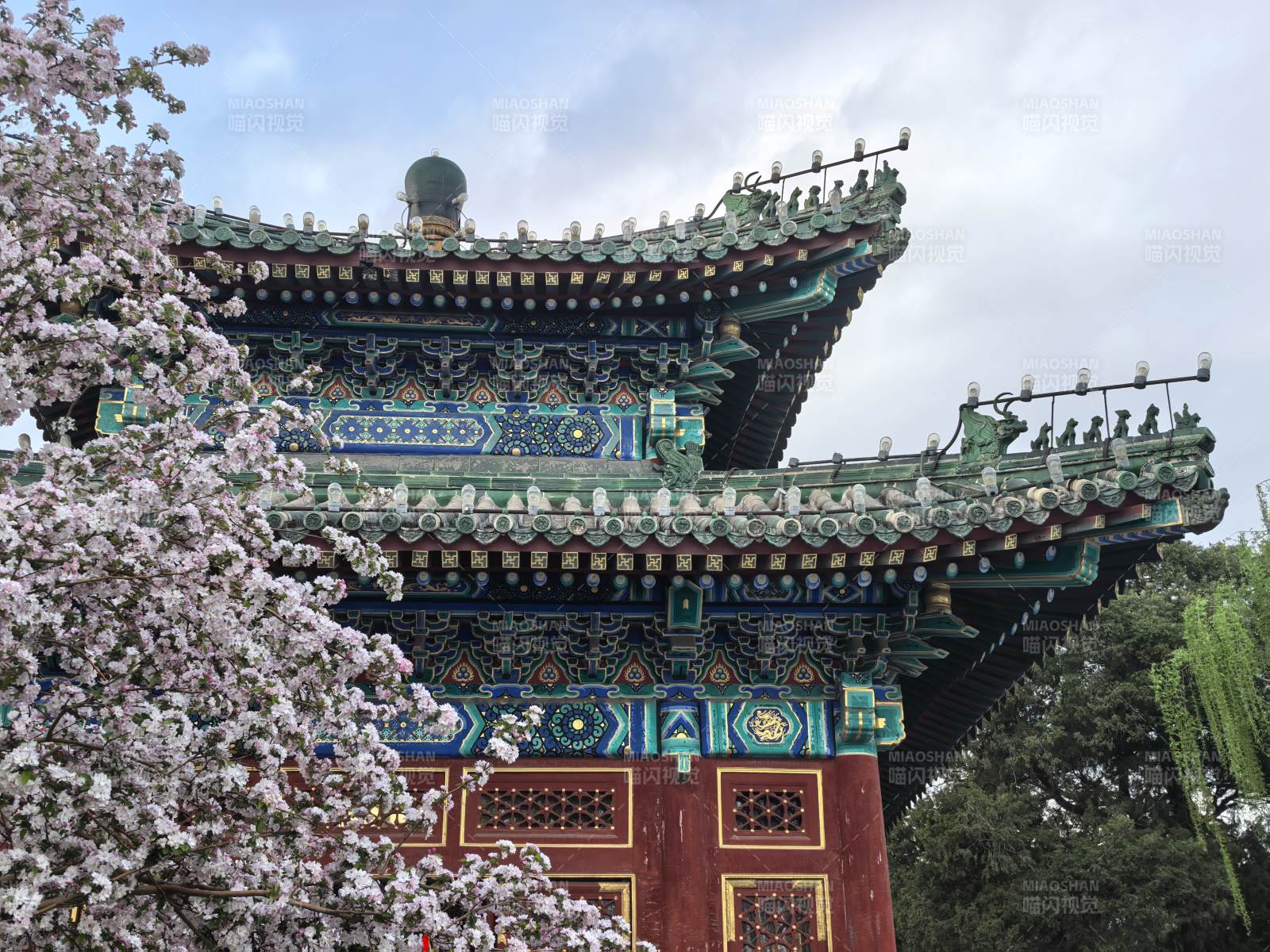 古建筑与樱花相映图片