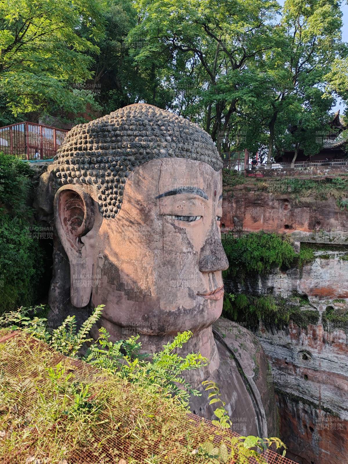 乐山大佛静谧庄严图片