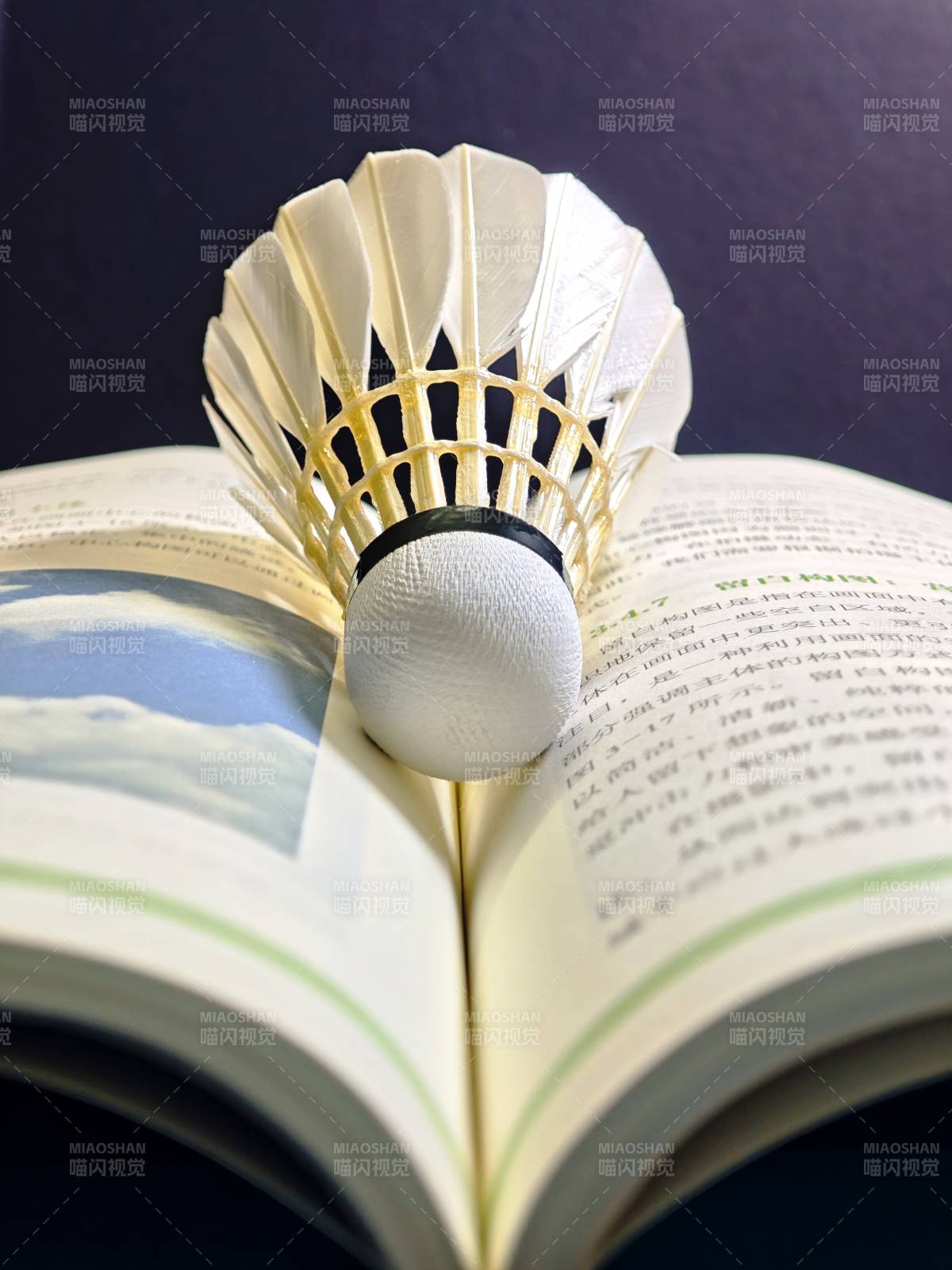 羽毛球与书本的静谧邂逅图片