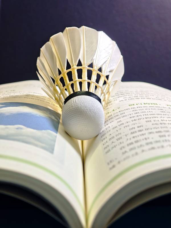 羽毛球与书本的静谧邂逅图片