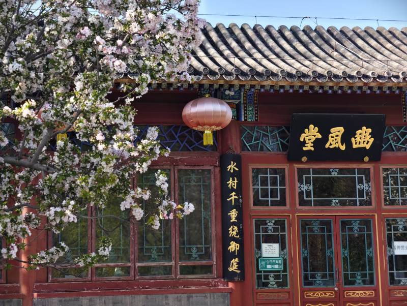 春风拂面花自开图片