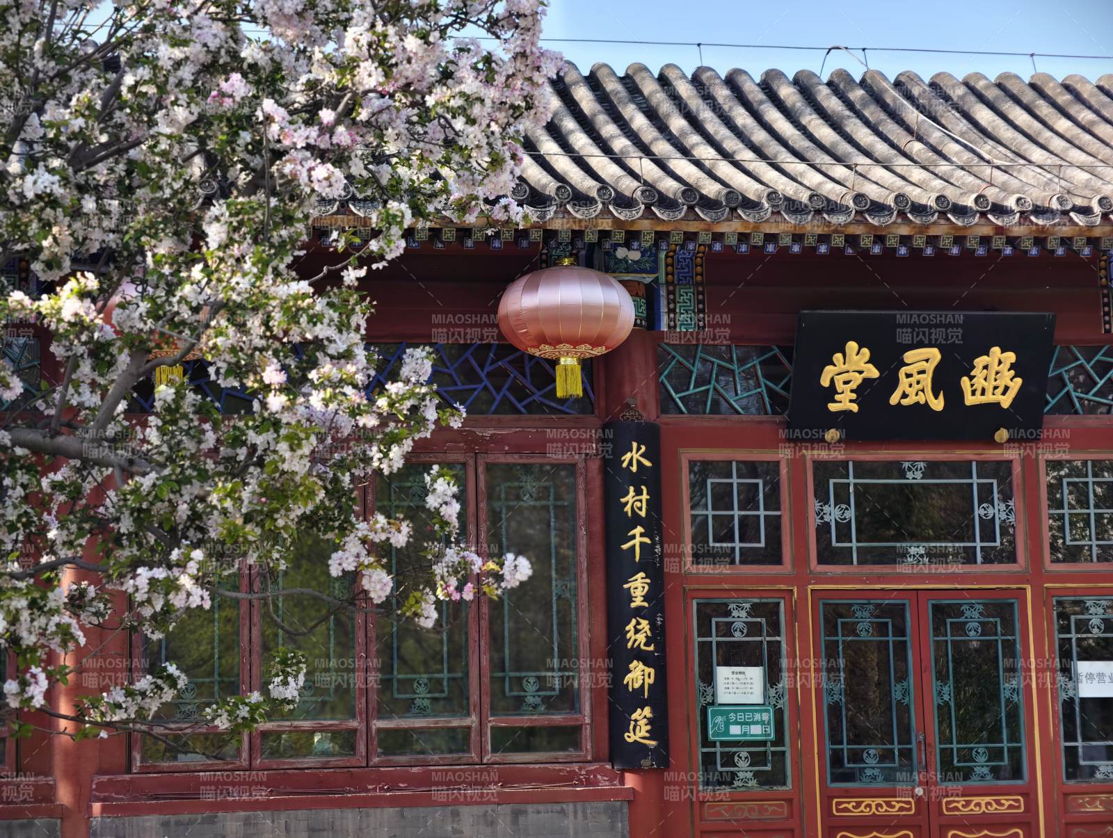 春风拂面花自开图片