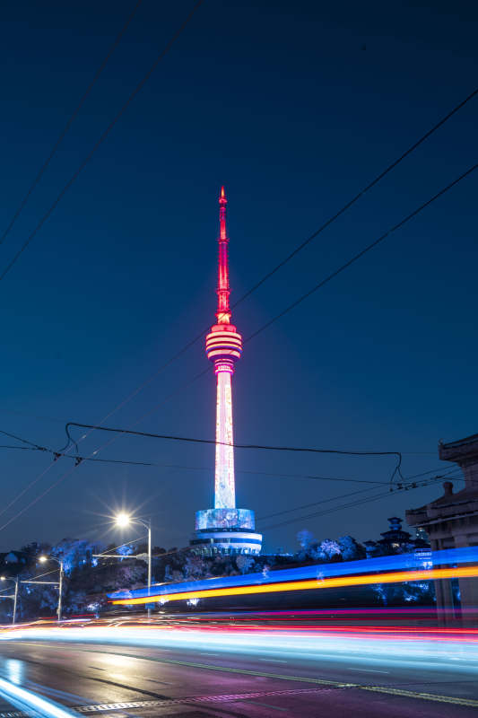 夜色中的塔影图片