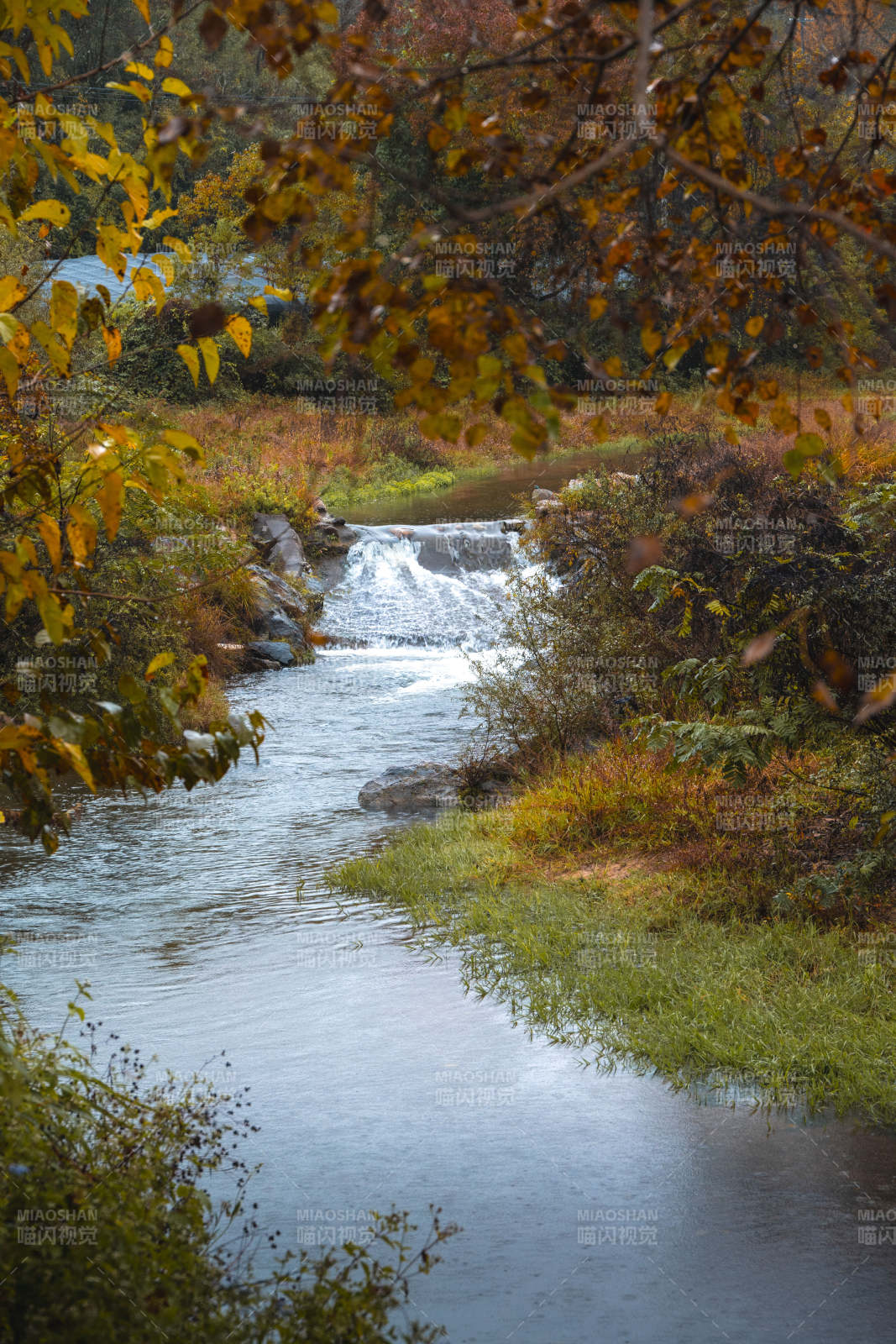 秋溪潺潺流图片