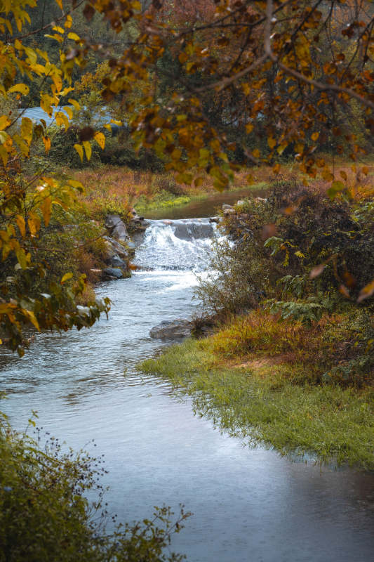 秋溪潺潺流图片