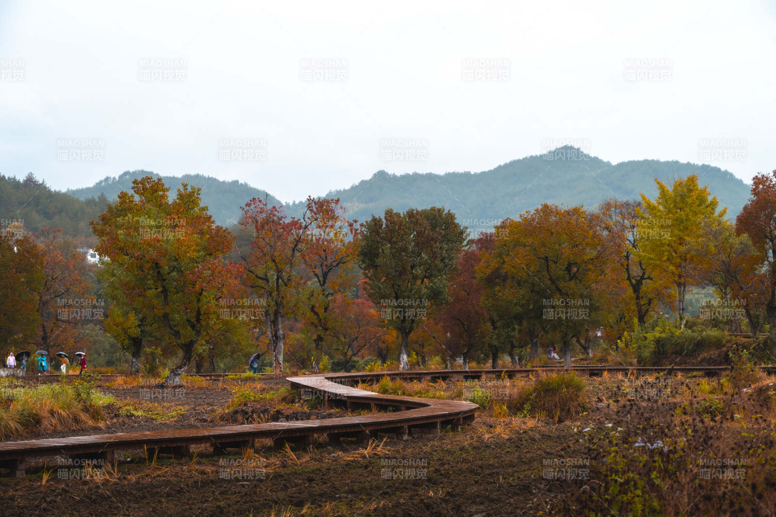 秋日山林小径图片