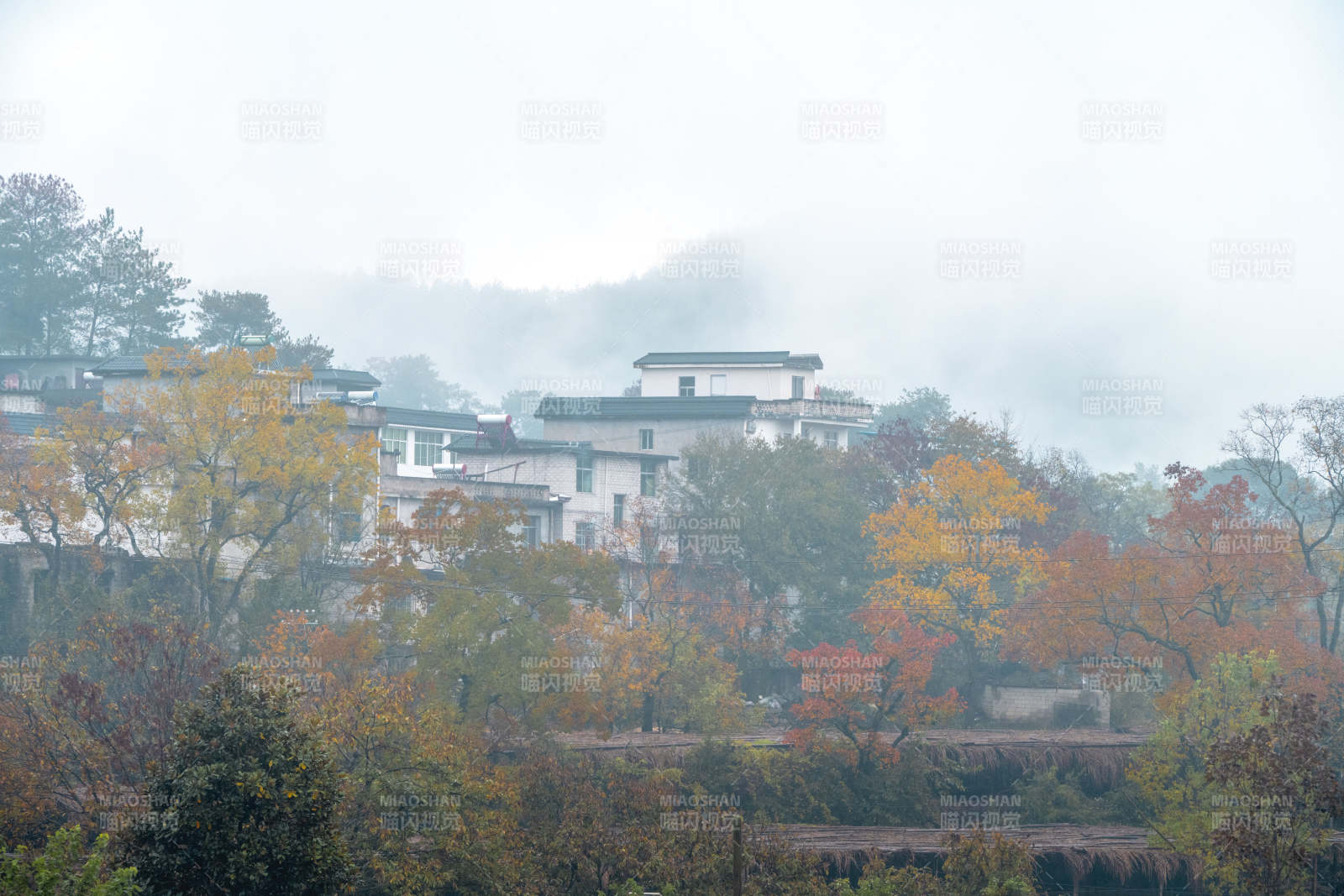 雾中古村秋色图片