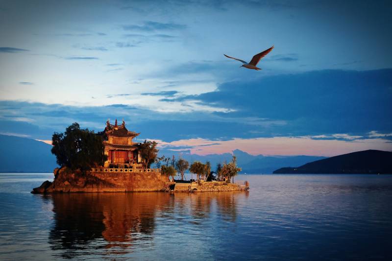 湖心古寺飞鸟影图片