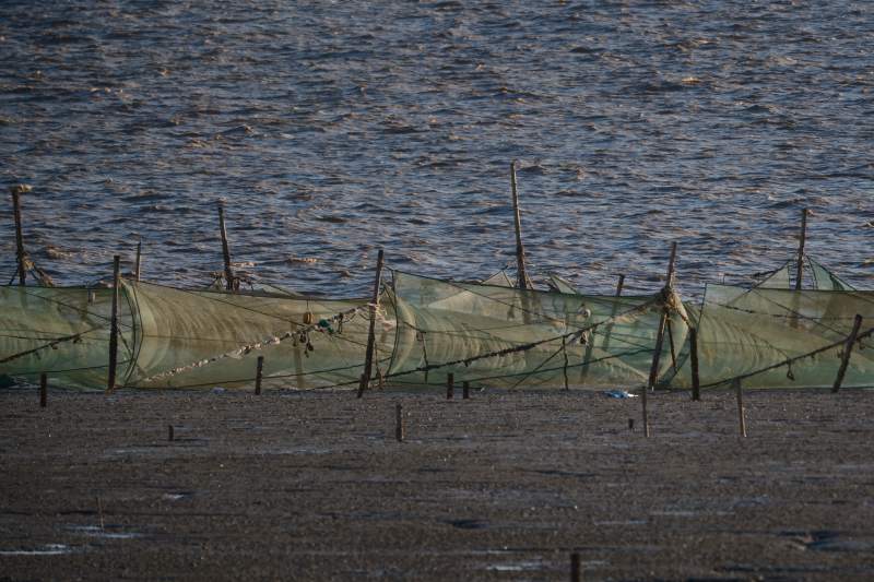 海边渔网静景图片