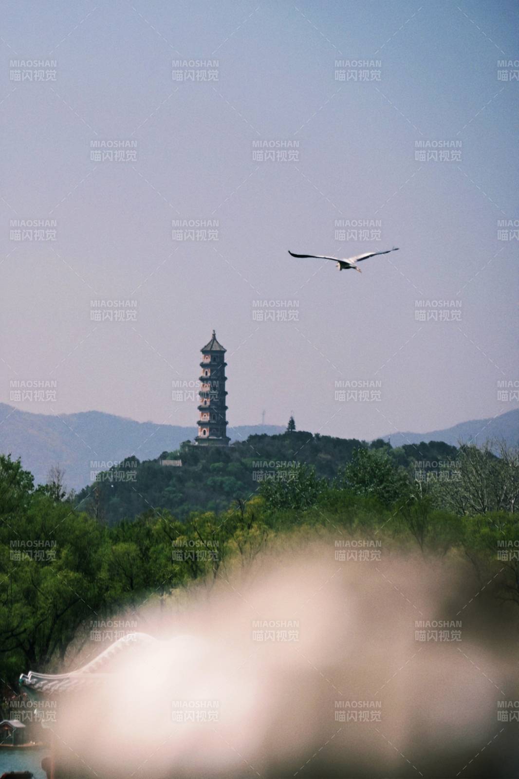 塔影飞鸟山色图片