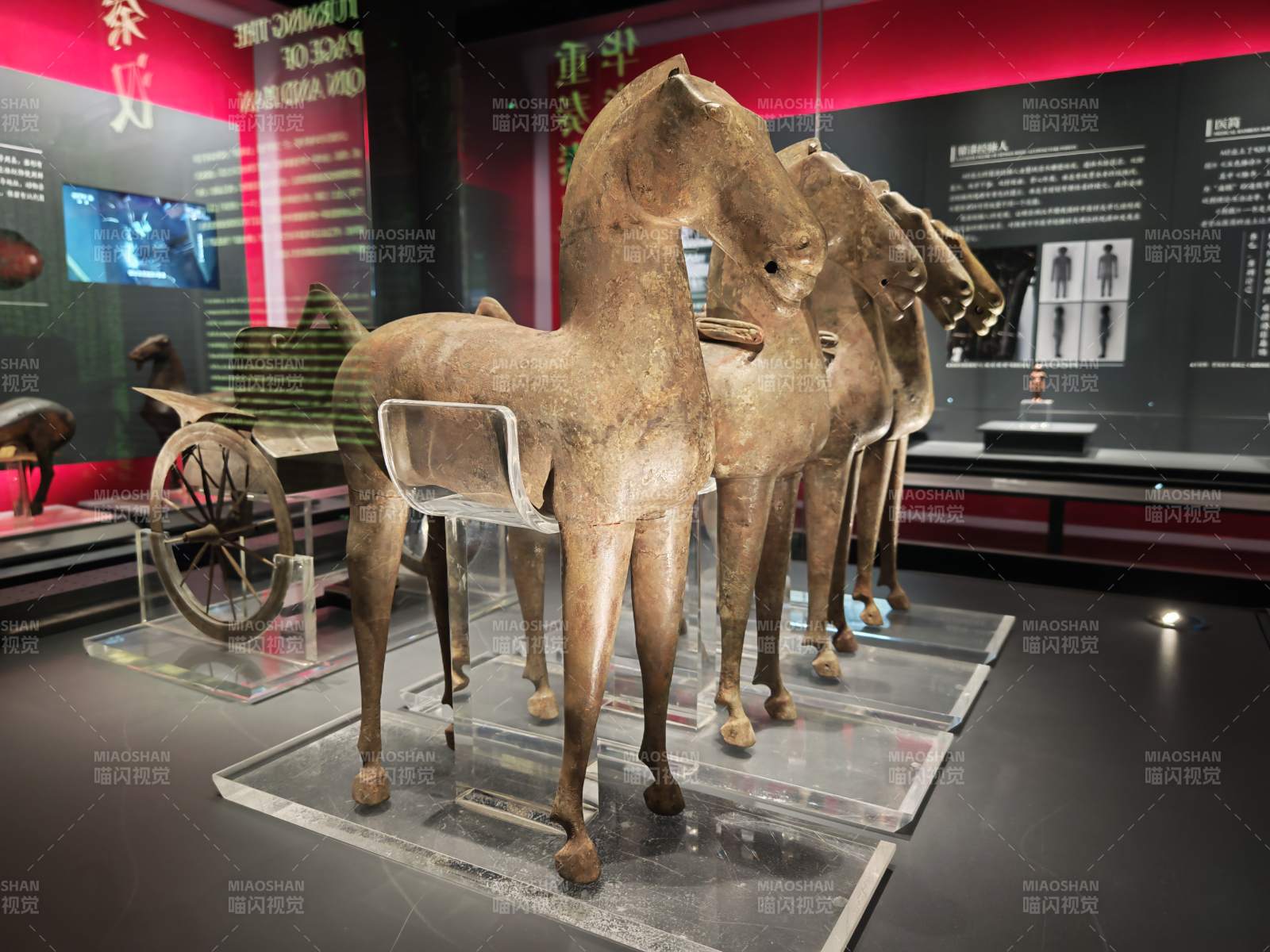 成都考古秦兵马俑马车展图片