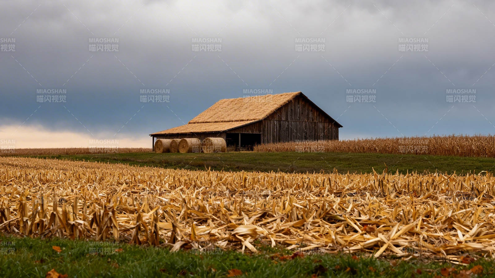 秋收后的农舍图片