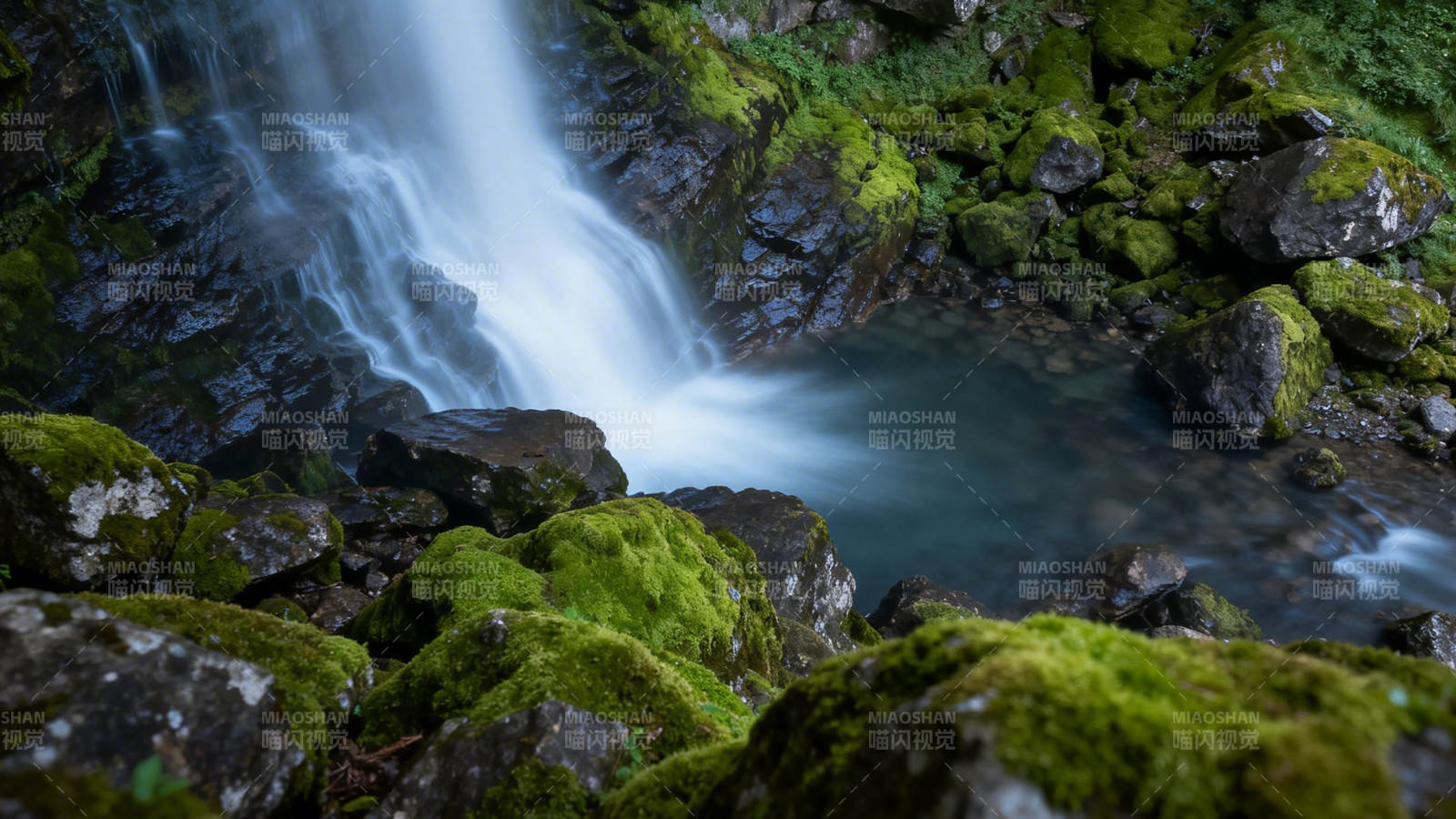 溪流潺潺绿意浓图片