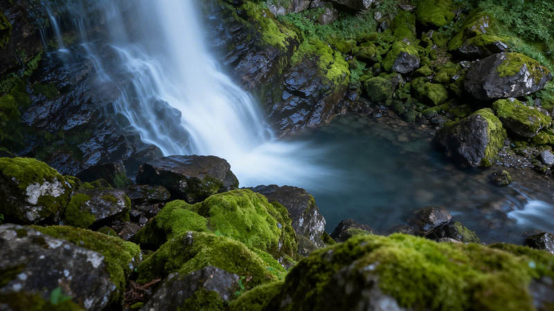 溪流潺潺绿意浓图片