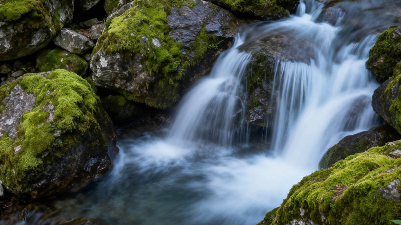 溪流潺潺过青石图片