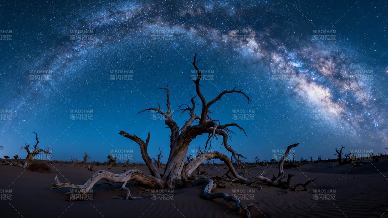 银河下的枯树图片