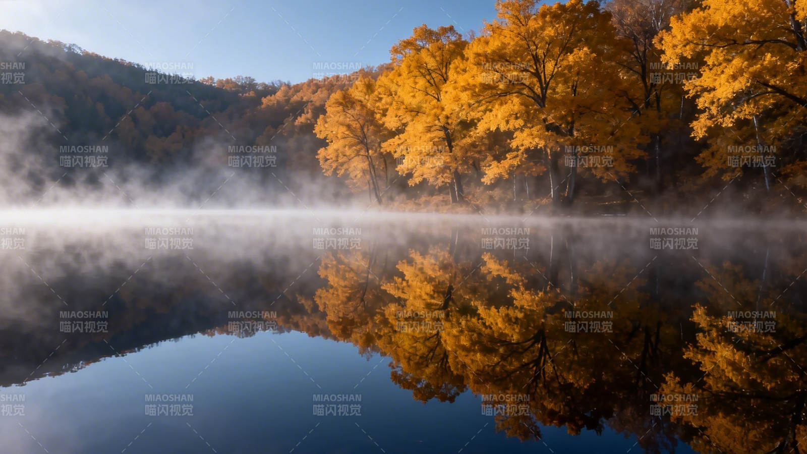 秋湖晨雾映金叶图片