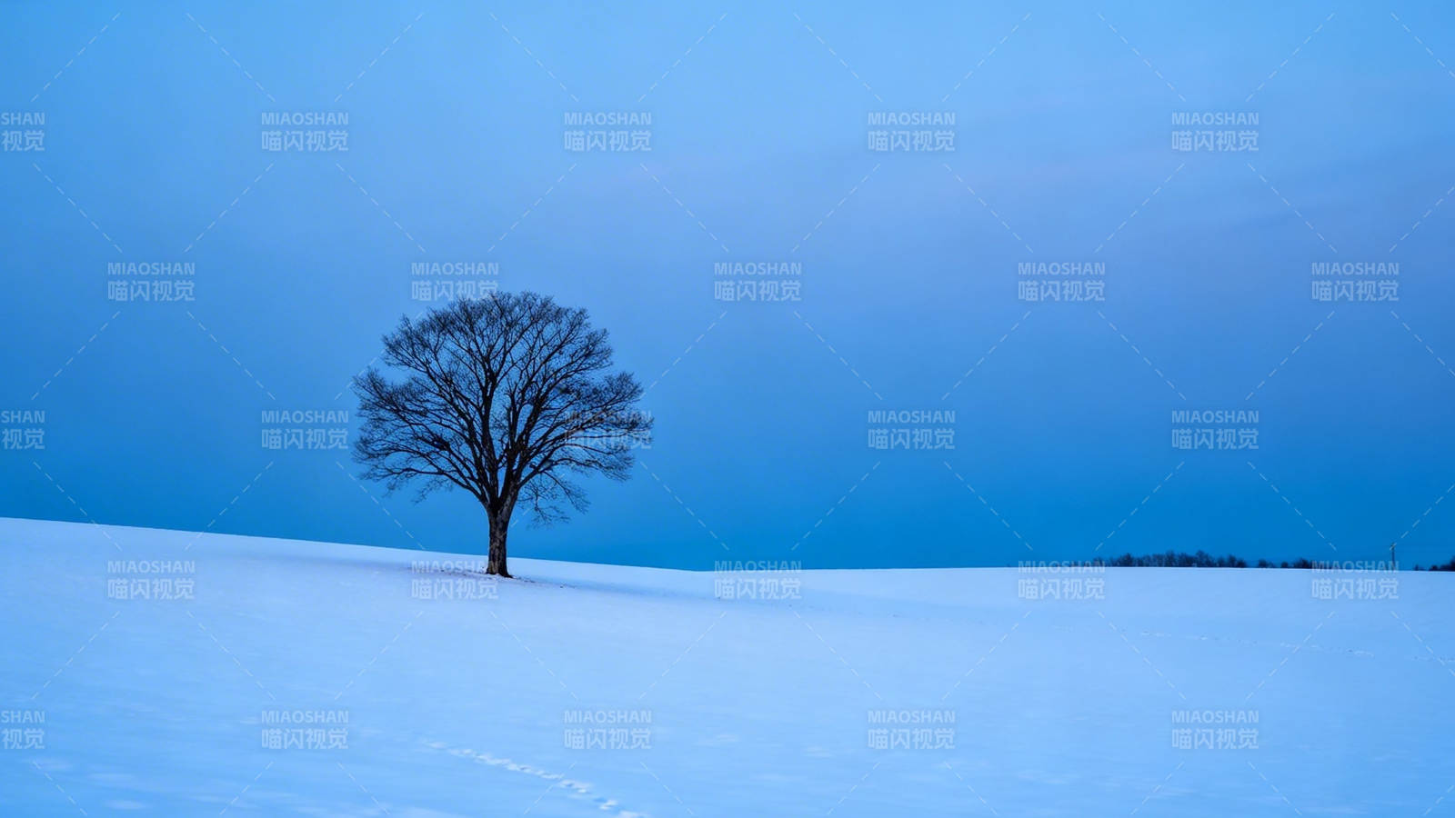 雪原孤树图片