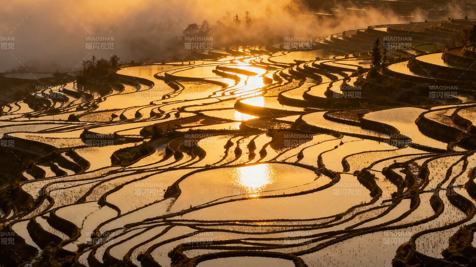 梯田晨曦图片