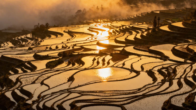 梯田晨曦图片