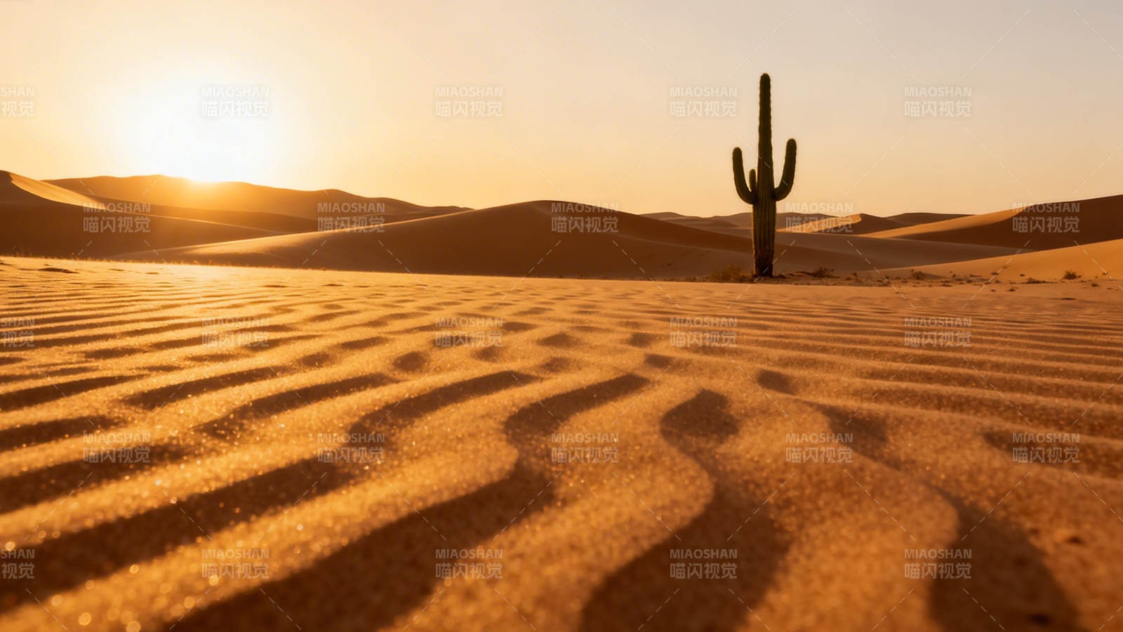 沙漠日落孤影图片