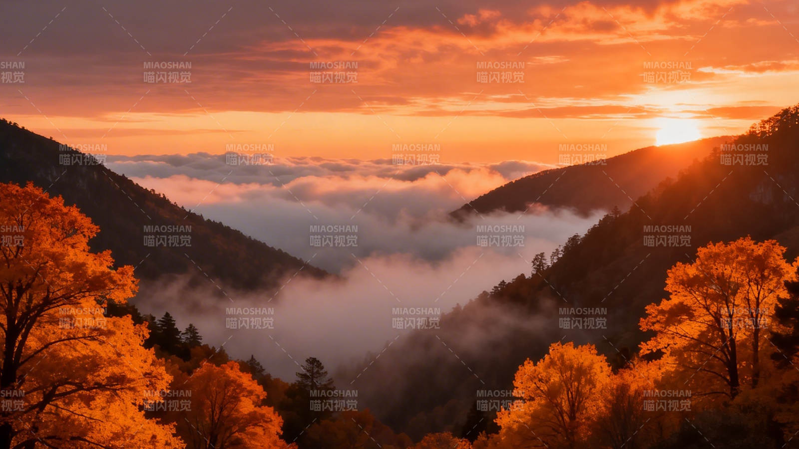 秋山云海日出图片