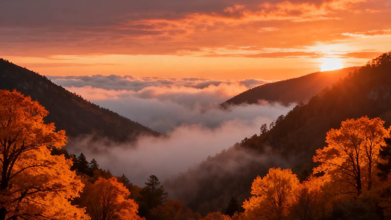 秋山云海日出图片