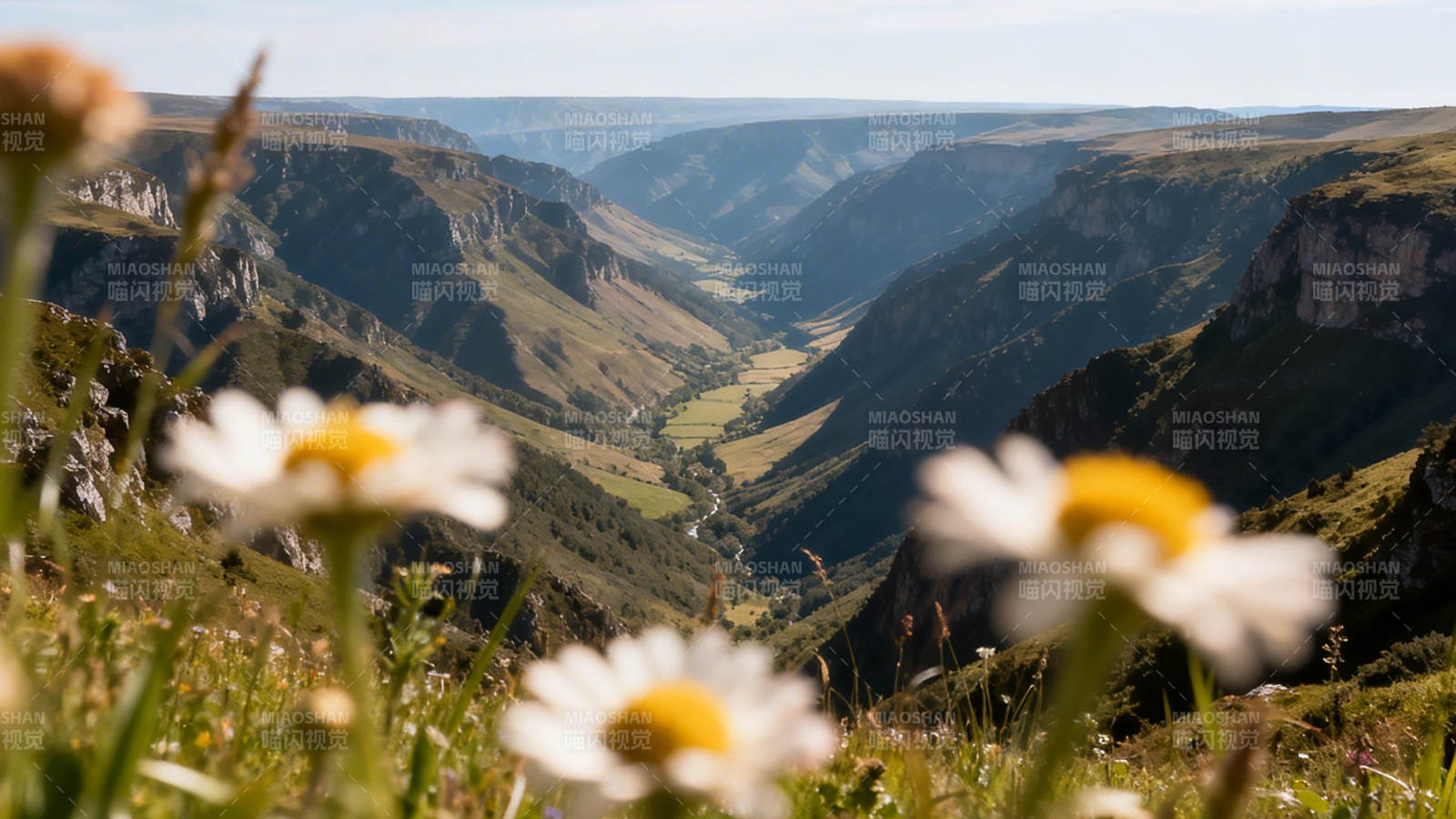 山间野花与峡谷图片
