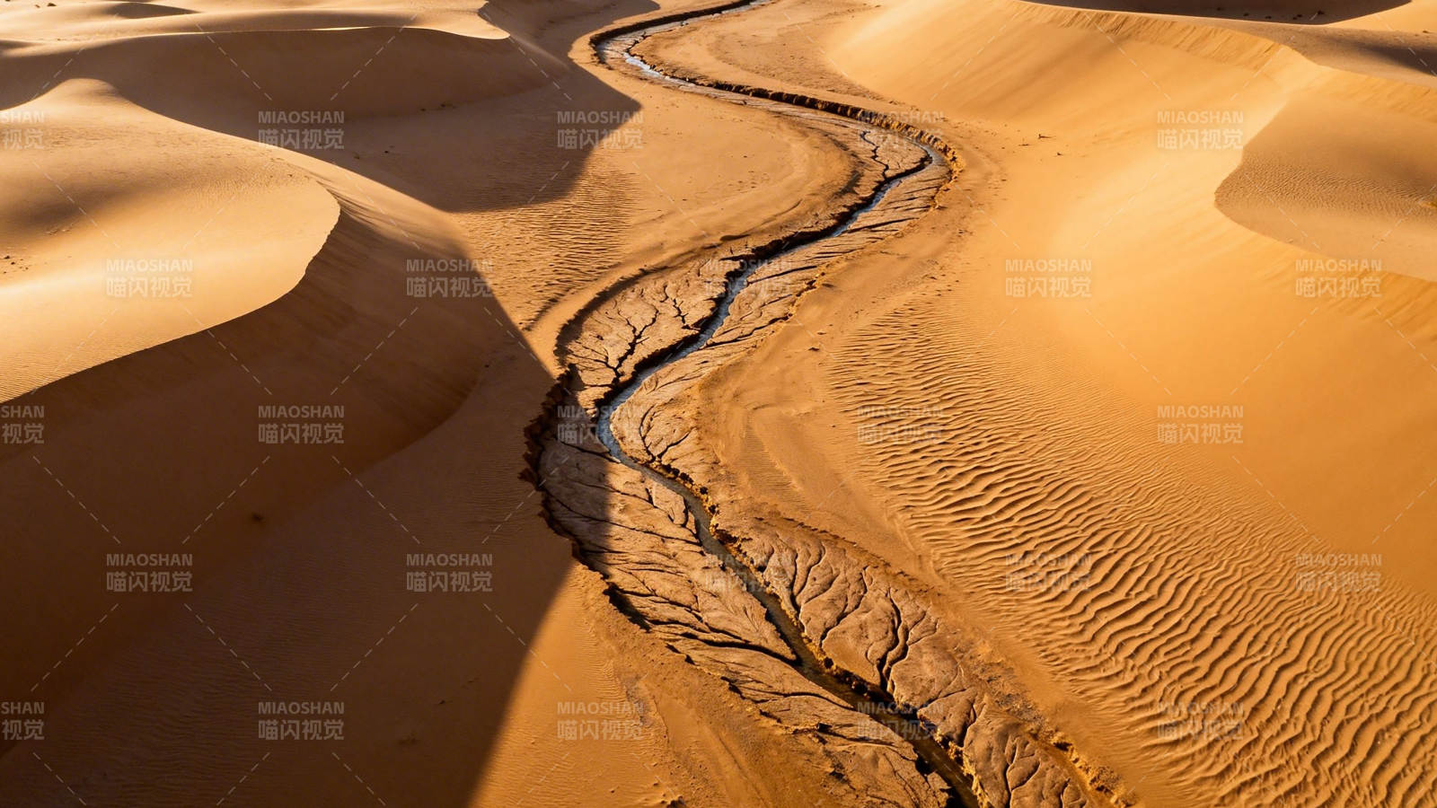 沙漠沙丘蜿蜒沟壑图片