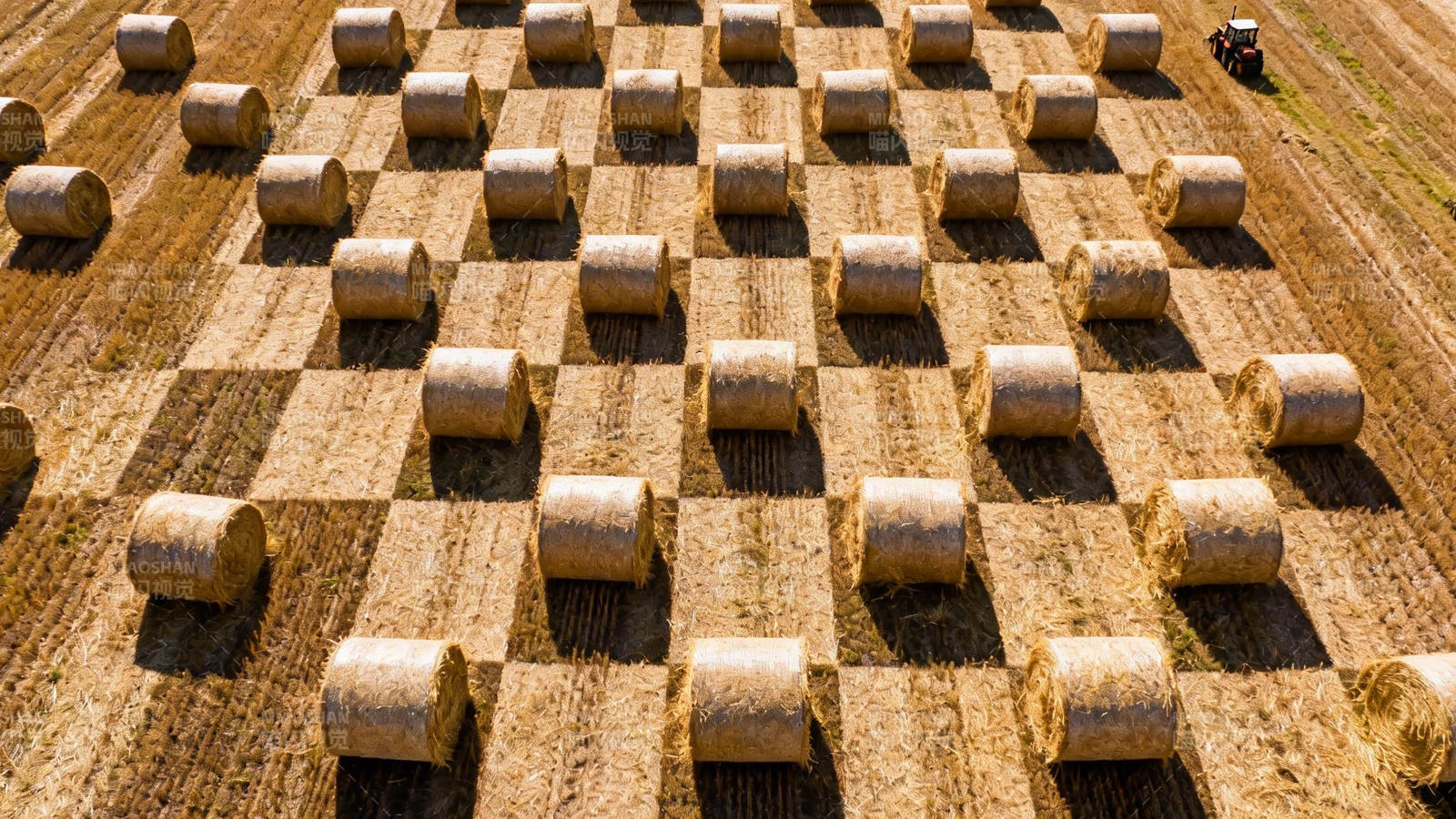麦田棋盘式草垛图片