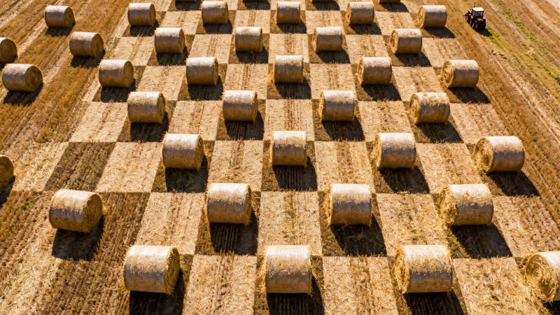 麦田棋盘式草垛图片