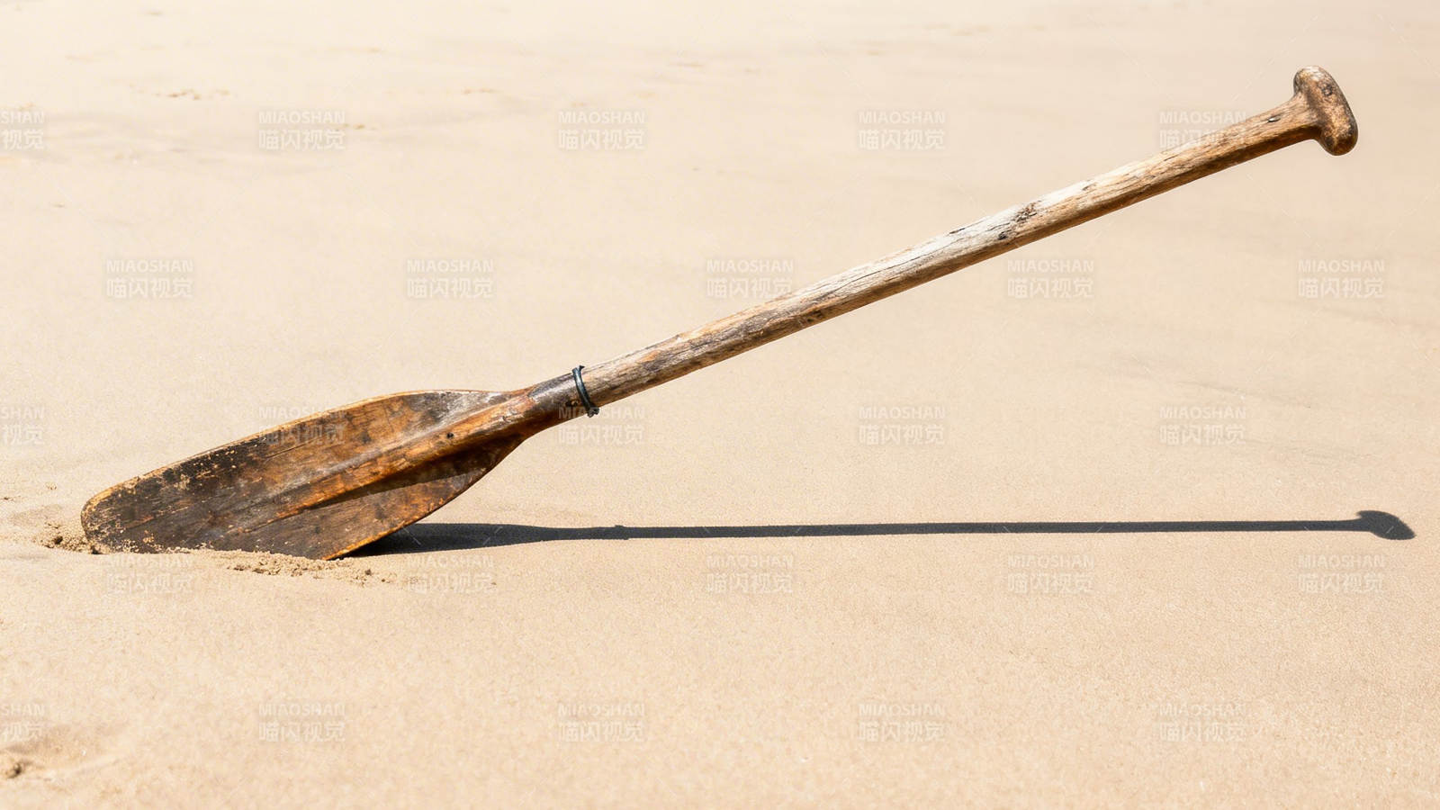 沙滩上的旧木桨图片