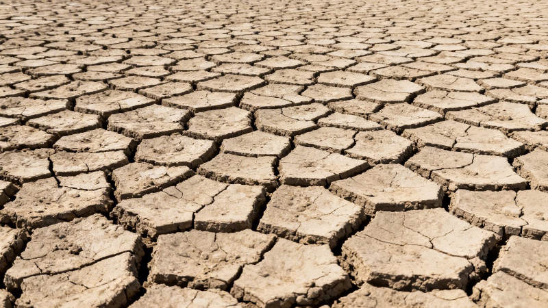 干裂的土地图片