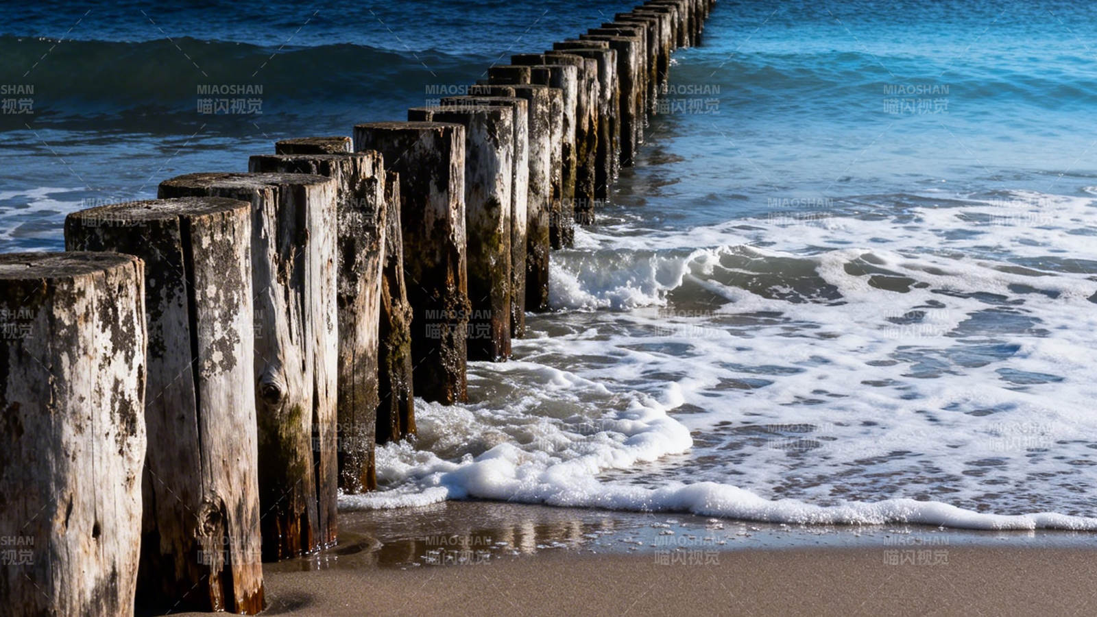 海边木桩与浪花图片