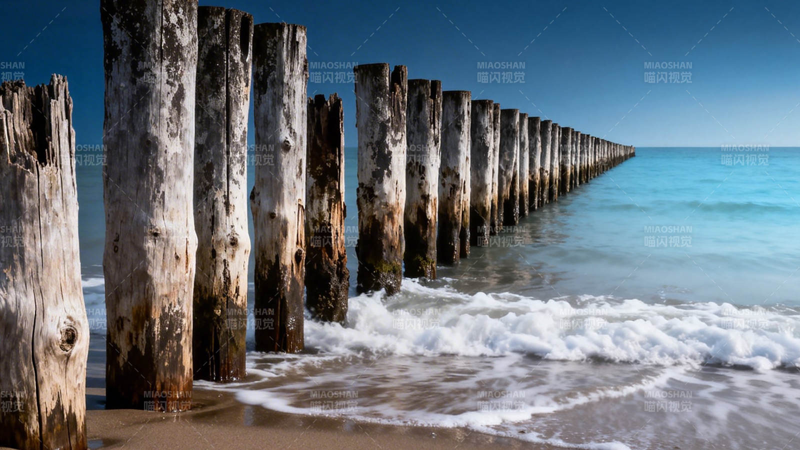 海岸木桩延伸海中图片