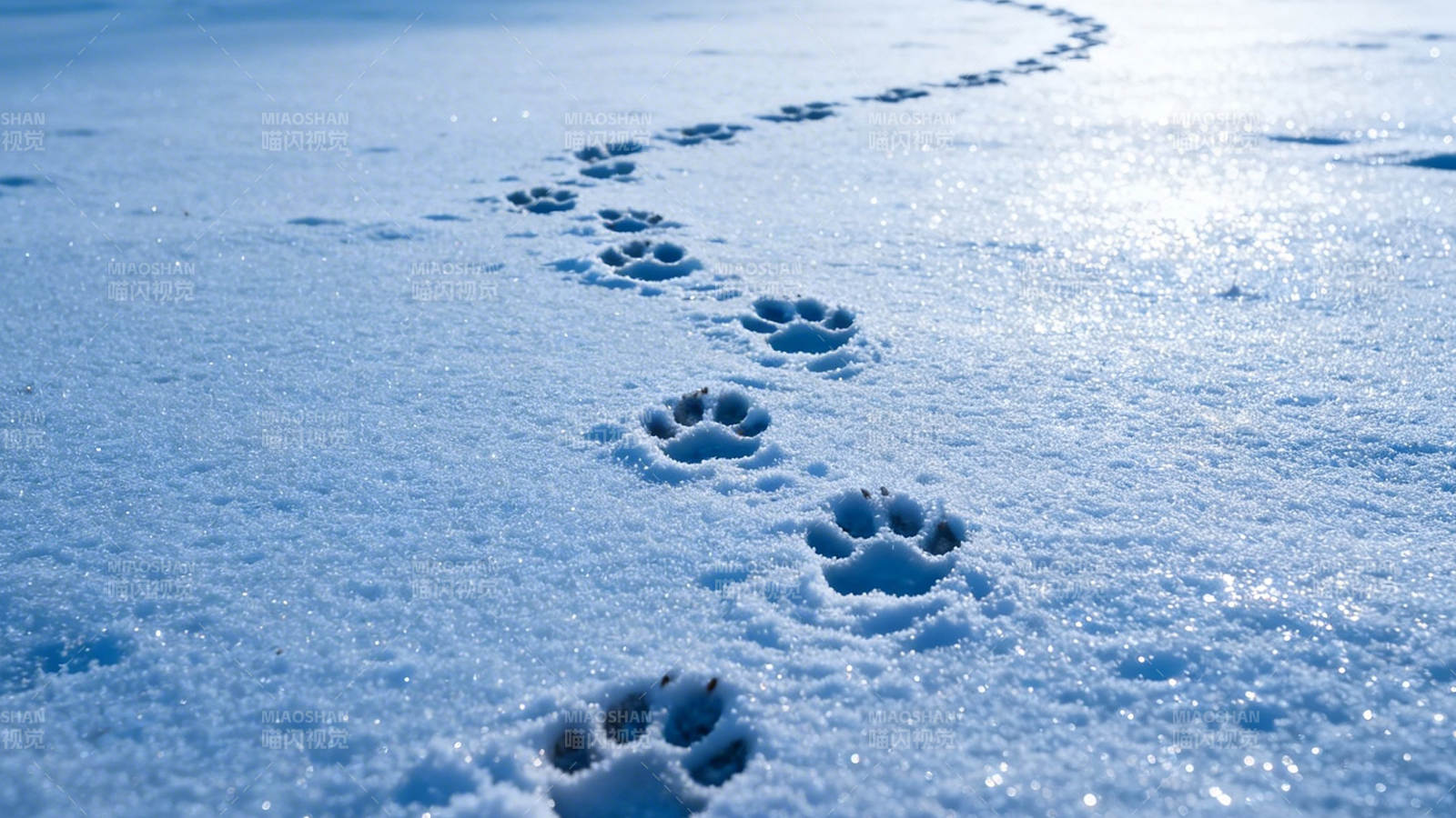 雪地足迹图片