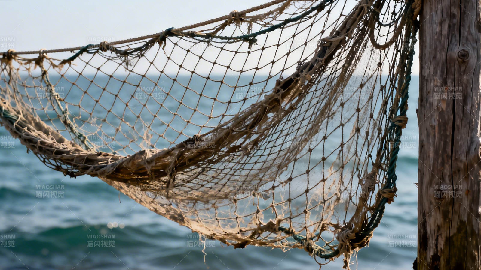 渔网悬海畔图片