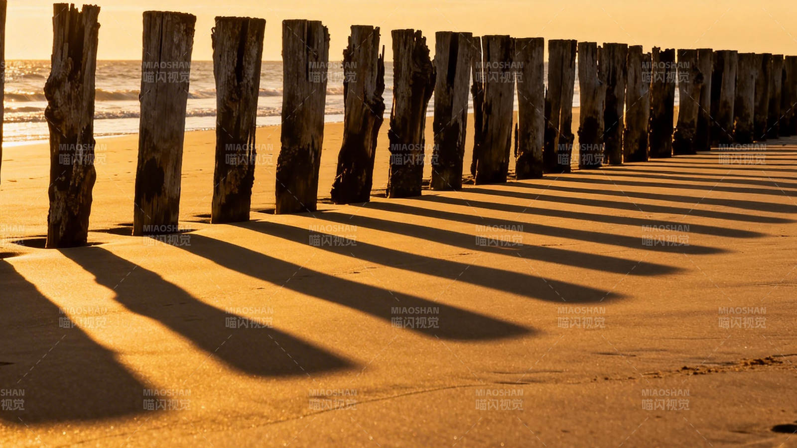 沙滩木桩影图片