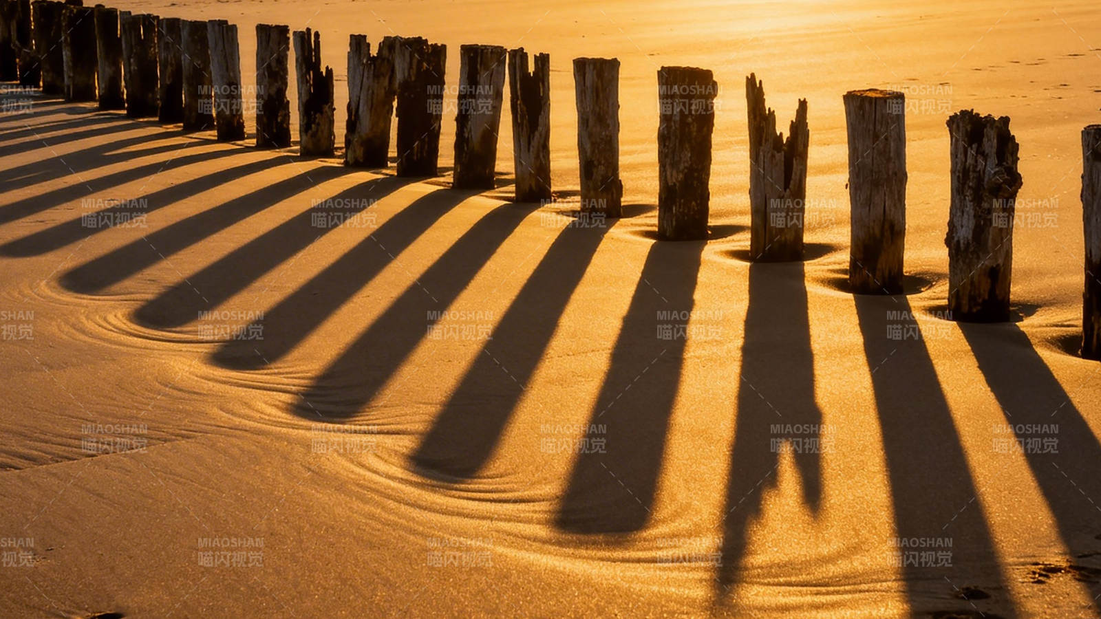 木桩影长沙岸图片