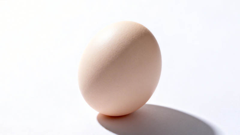 鸡蛋静置光影中图片