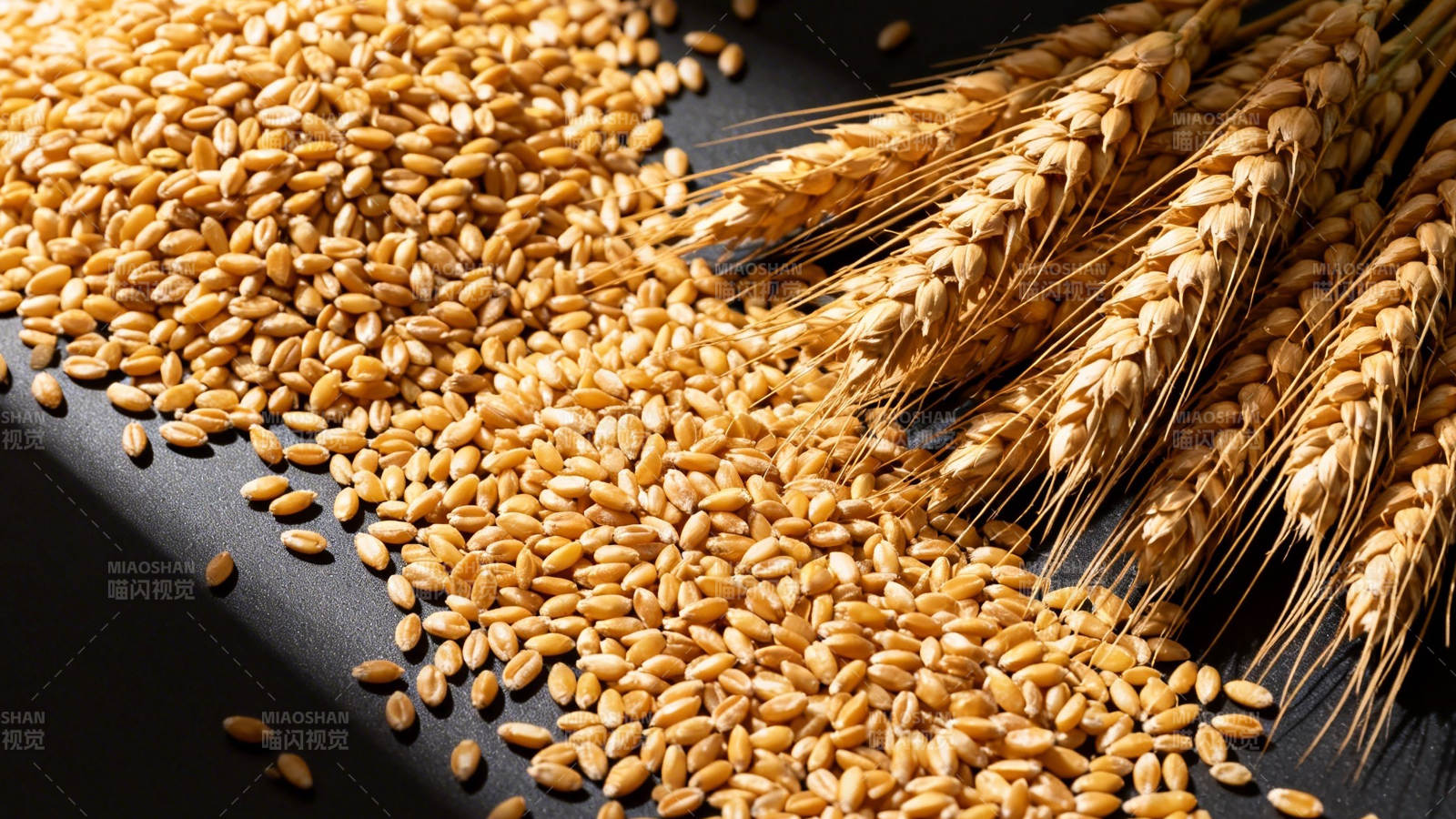 金黄麦粒与麦穗图片