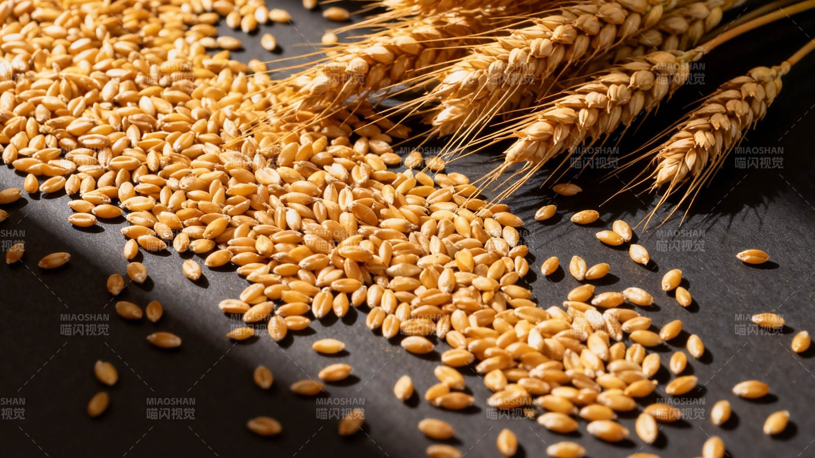 金黄麦穗与麦粒图片