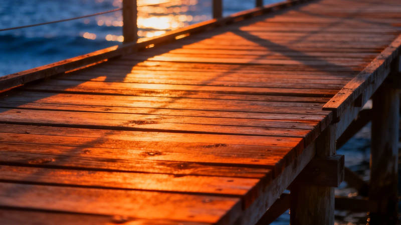 夕阳下的木栈道图片