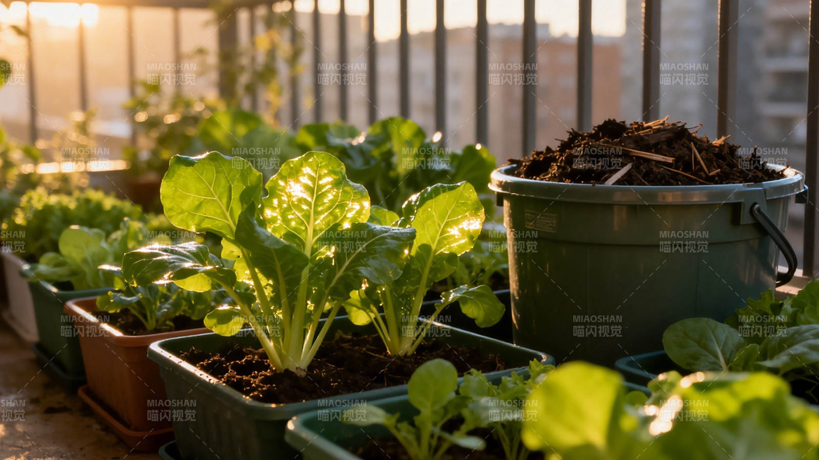 阳台绿植生机盎然图片