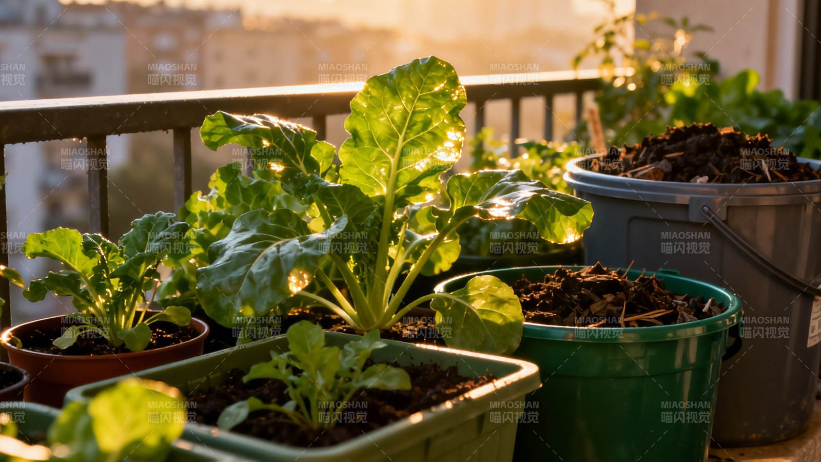 阳台绿植生机盎然图片