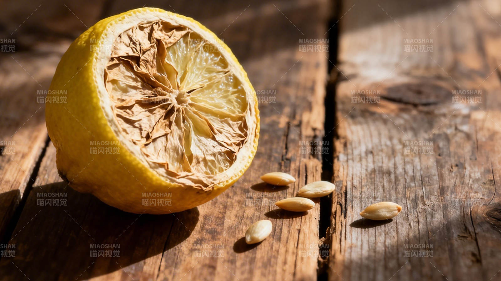 干柠檬与种子图片