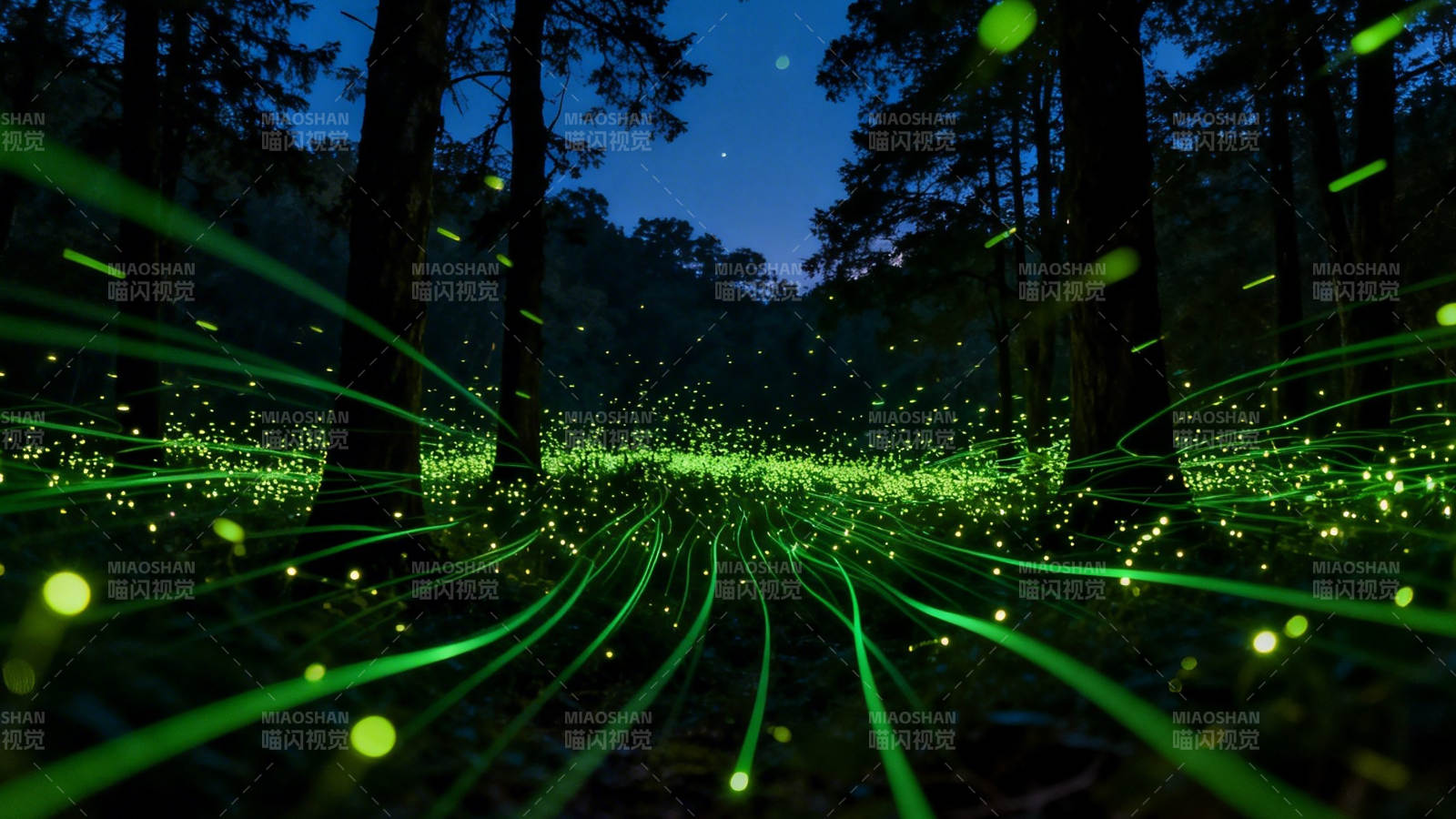 萤火森林夜景图片